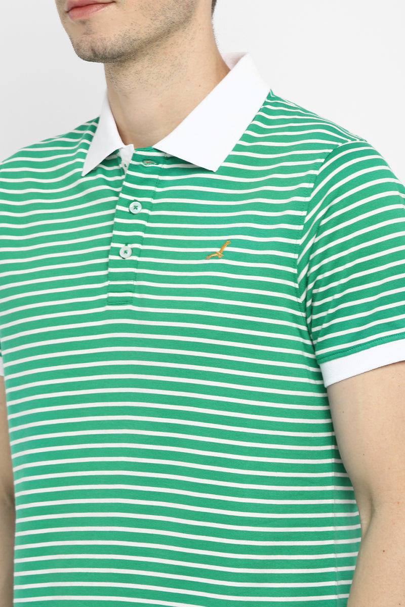 Polo Collar Half Sleeves Striped T-Shirt for Men - Green & White (Clearance - No Exchange No Return)