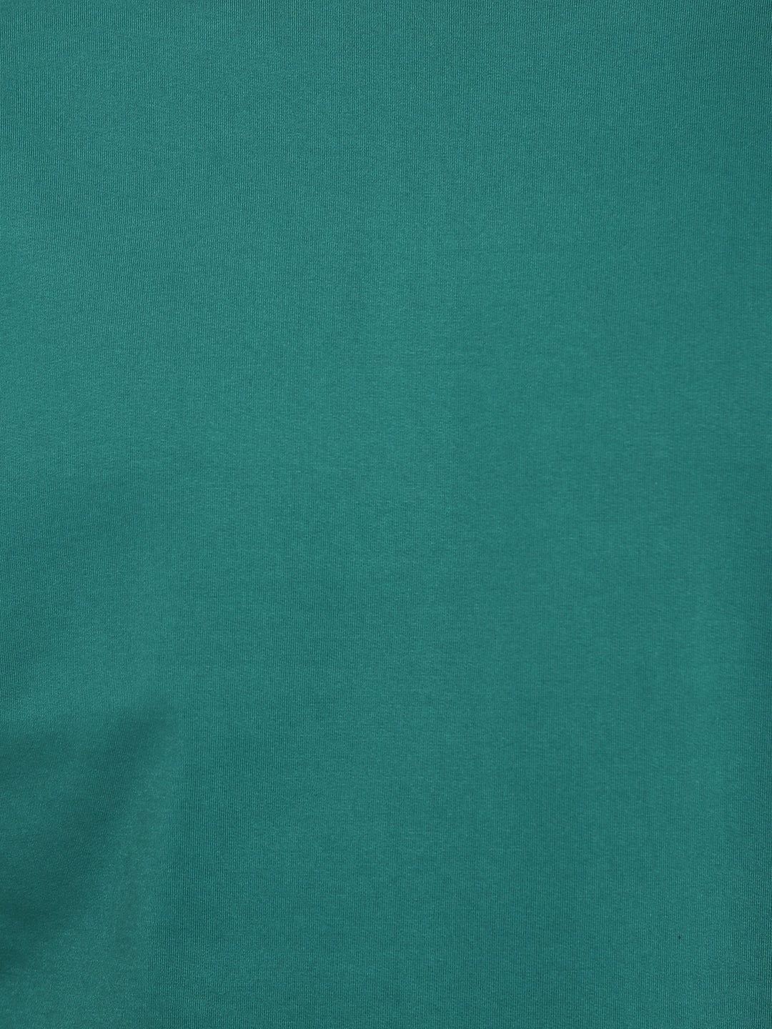 Round Neck Sweatshirt for Men - Galapagos Green