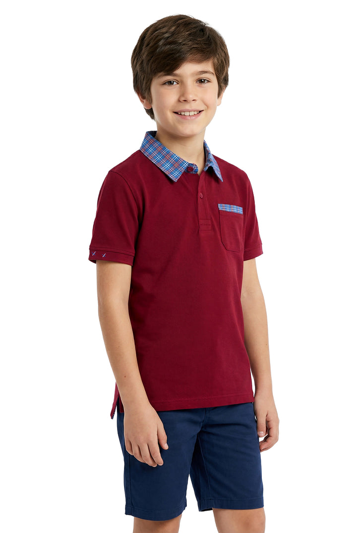 Boys Polo T-Shirt Pack of 2 Half Sleeve, Pocket Polo Regular Fit, Boys Kids 5-12 Years Casual T-Shirt - AC4101