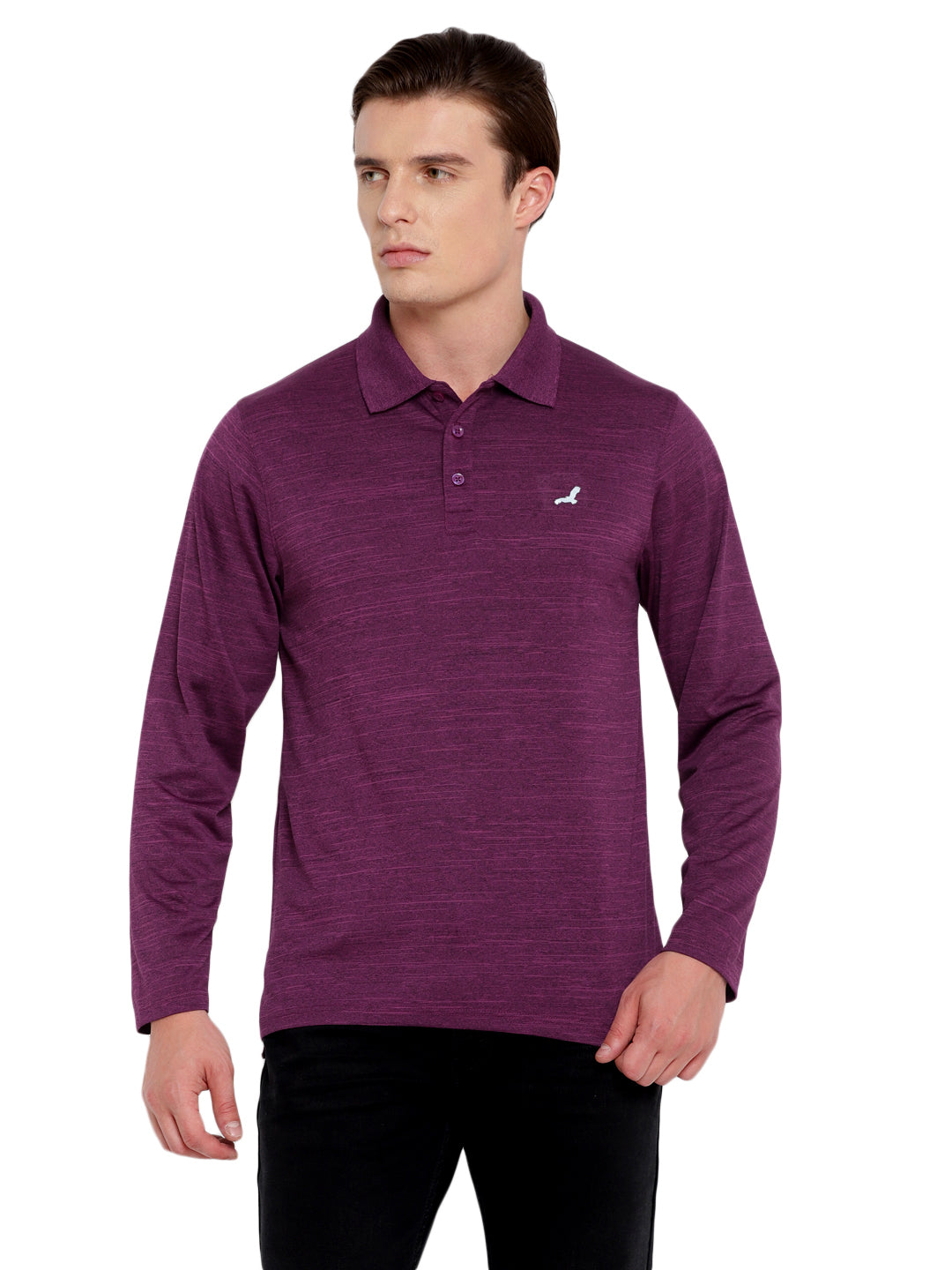 Polo Collar Active Wear Full Sleeves T-Shirts for Men with Moisture Management - Plum