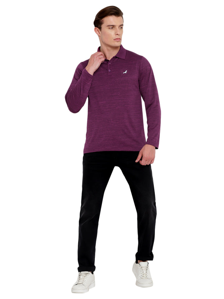 Polo Collar Active Wear Full Sleeves T-Shirts for Men with Moisture Management - Plum