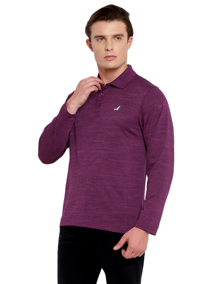 Polo Collar Active Wear Full Sleeves T-Shirts for Men with Moisture Management - Plum