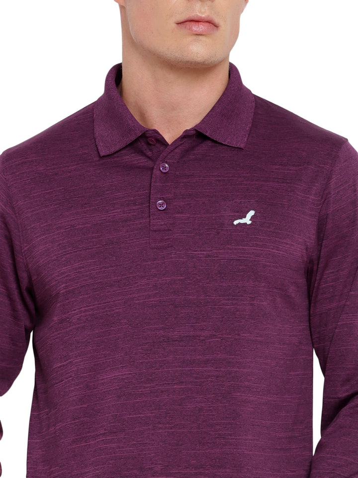 Polo Collar Active Wear Full Sleeves T-Shirts for Men with Moisture Management - Plum