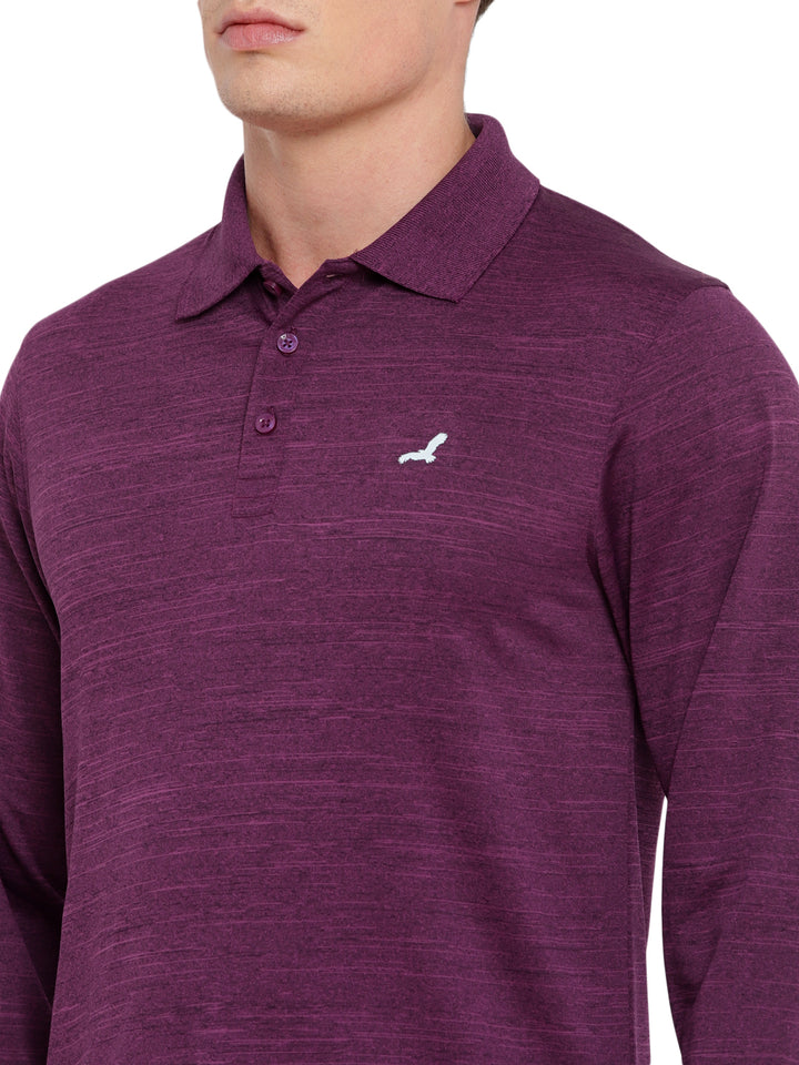 Polo Collar Active Wear Full Sleeves T-Shirts for Men with Moisture Management - Plum