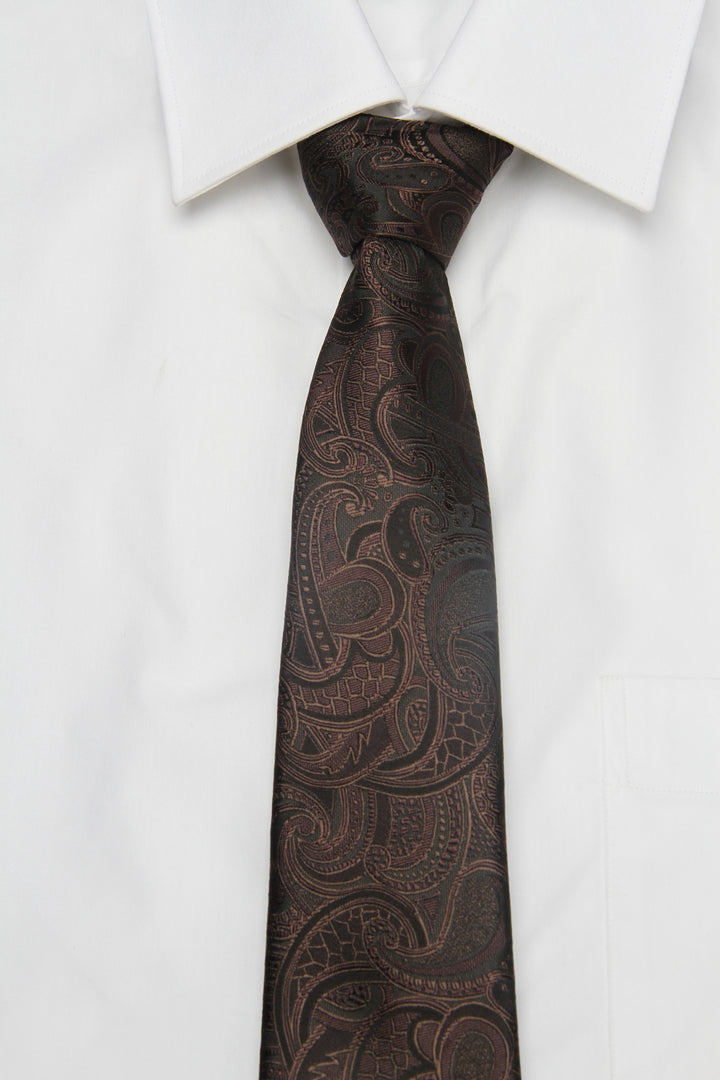 Men's Paisley Formal Necktie - Brown