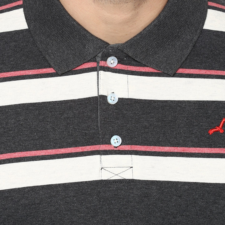 100% Cotton Polo T-Shirt - Stripes (No Exchange No Returns)