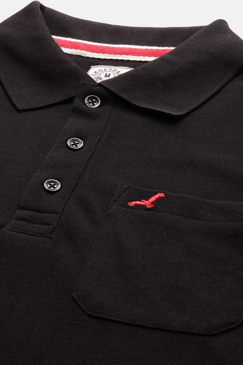 Hollister collar best sale t shirts