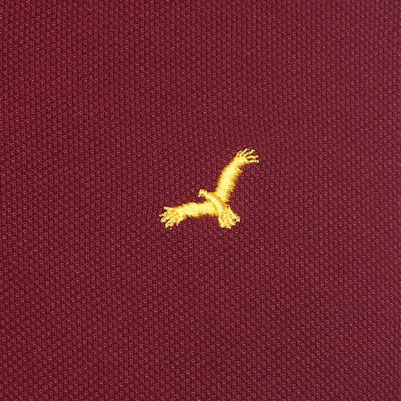 Men's Polo Collar T-Shirt - Burgundy