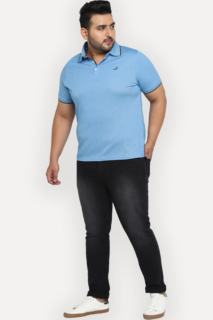 Men's Plus Size Polo Collar T-Shirt - Blue (Birdeye Knit)