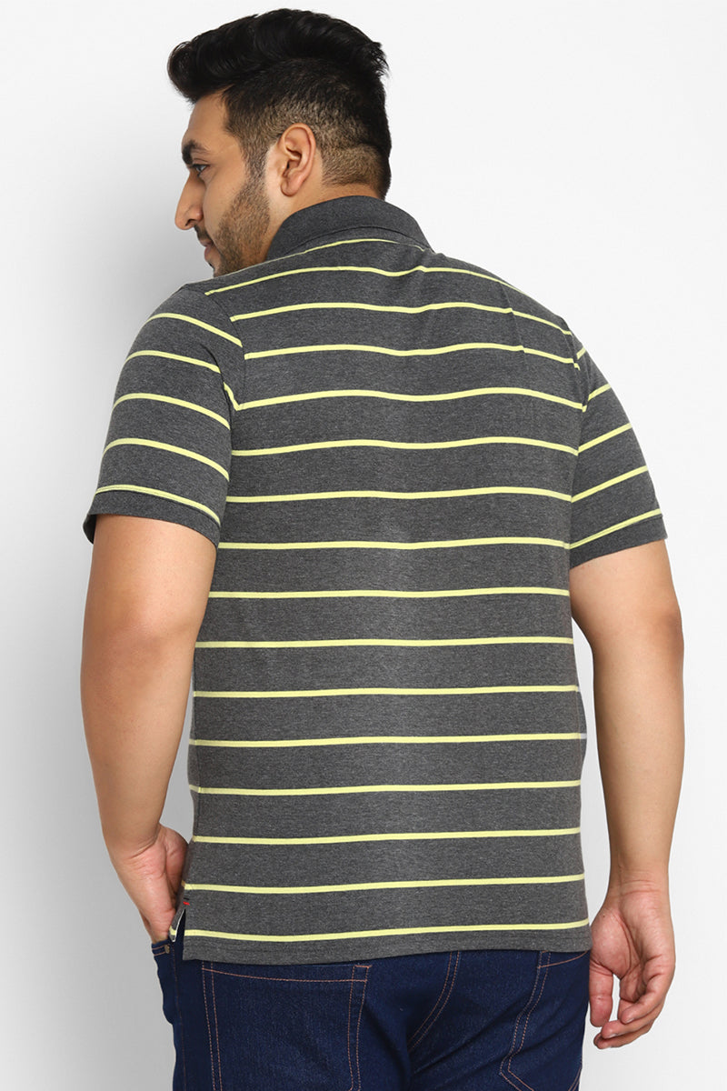 Men's Plus Size Polo Collar Yarn Dyed Stripes T-Shirt - Light Green & Anthra Melange