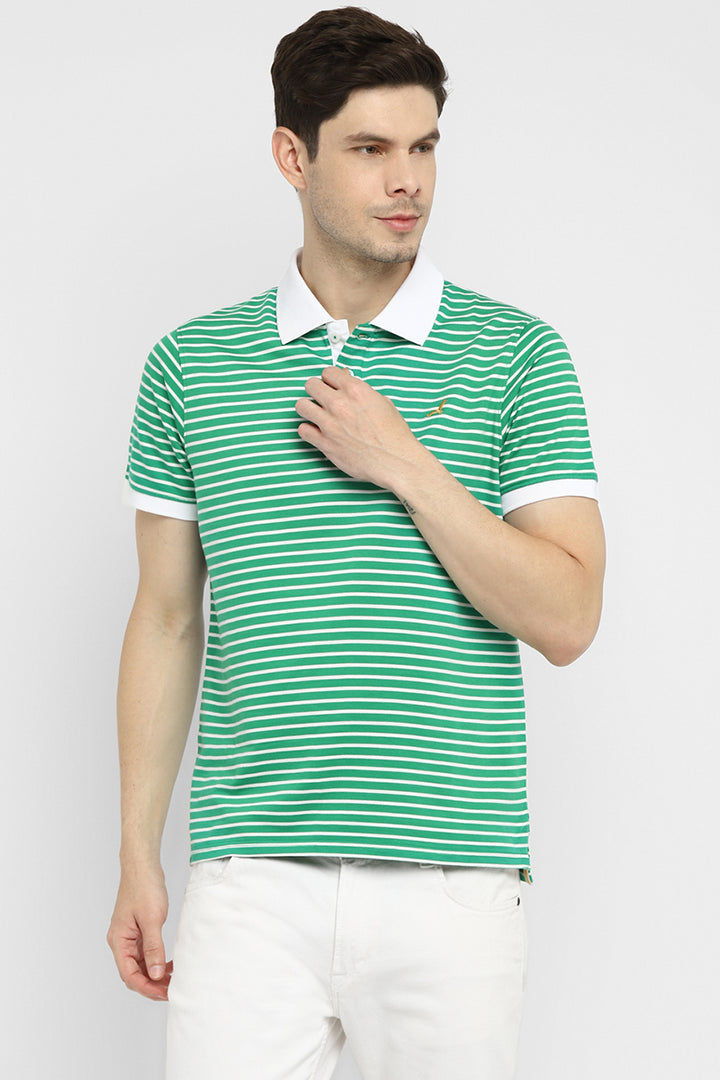 Polo Collar Half Sleeves Striped T-Shirt for Men - Green & White (Clearance - No Exchange No Return)