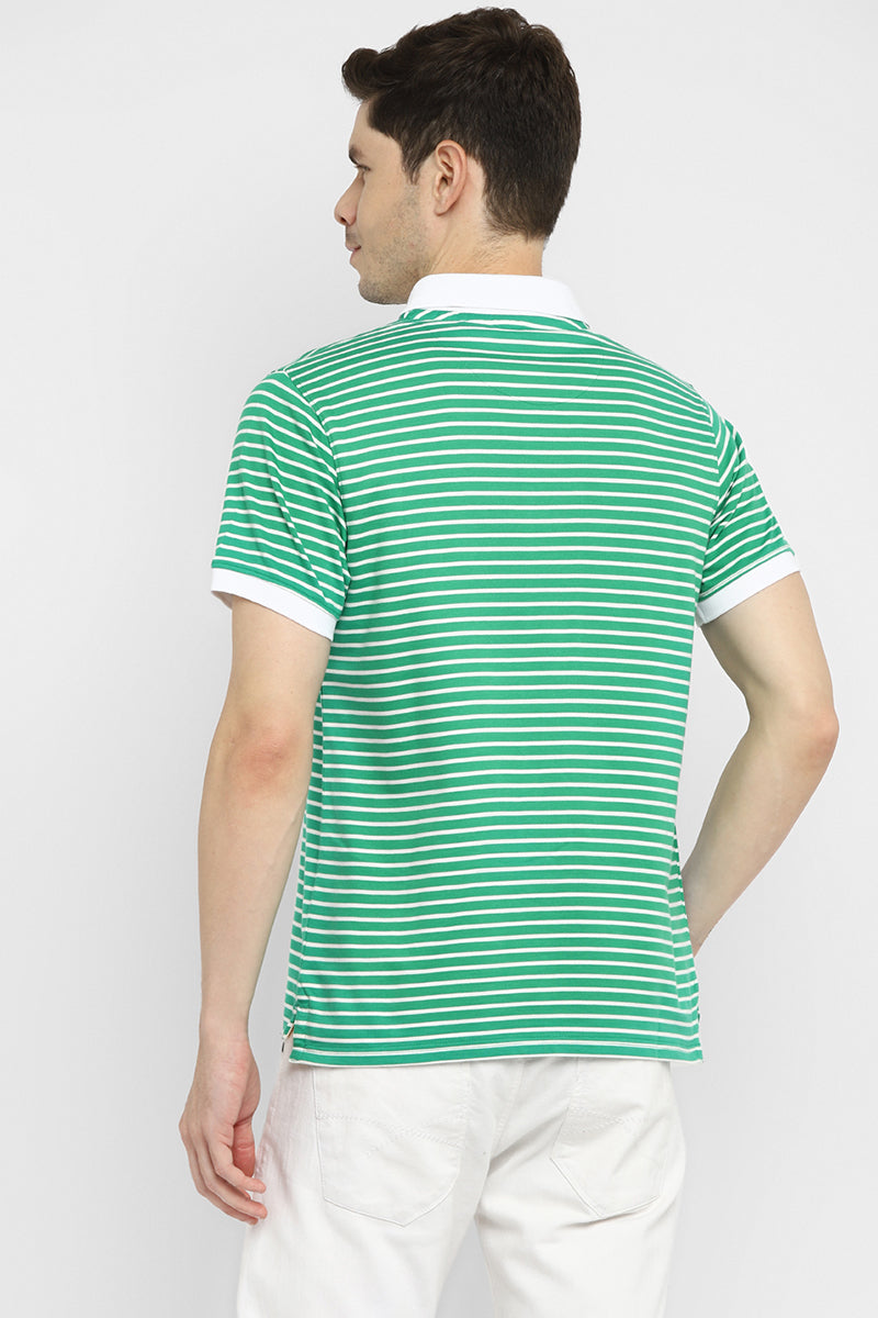 Polo Collar Half Sleeves Striped T-Shirt for Men - Green & White (Clearance - No Exchange No Return)