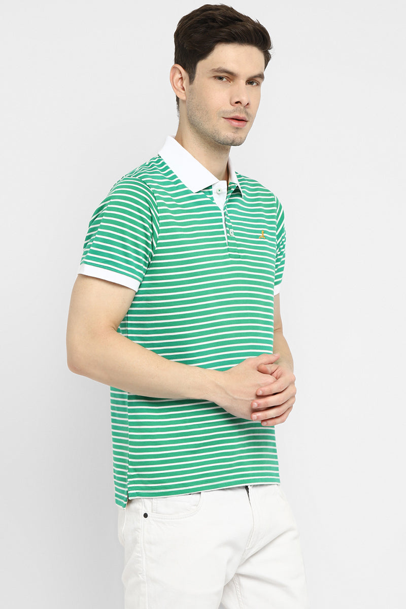 Polo Collar Half Sleeves Striped T-Shirt for Men - Green & White (Clearance - No Exchange No Return)