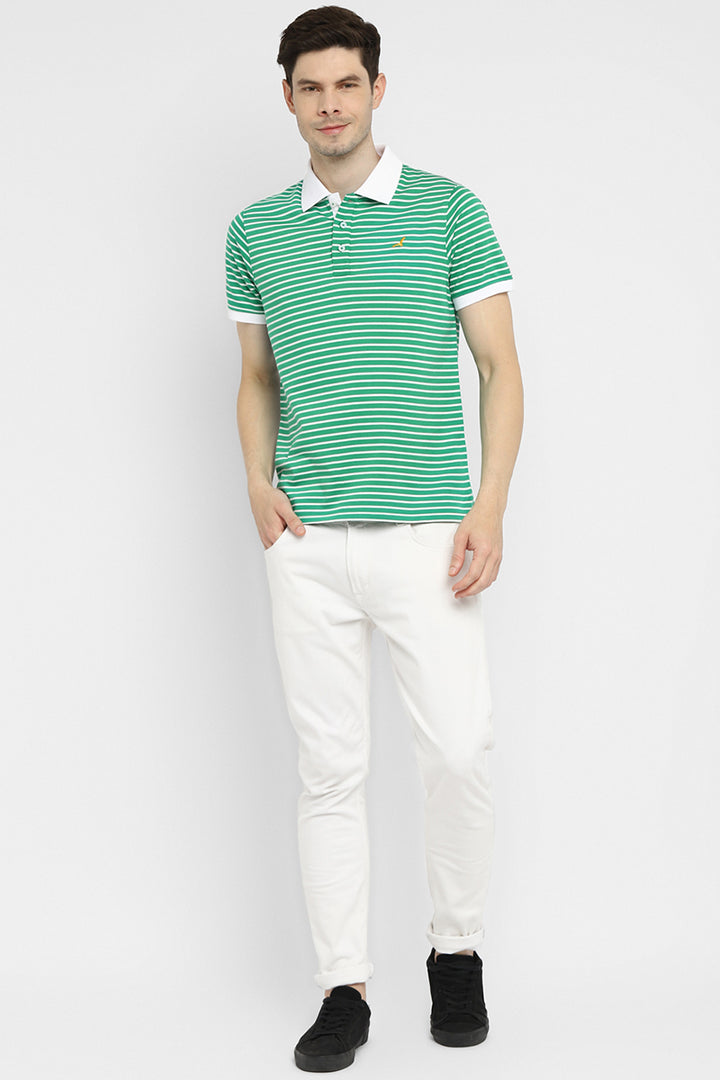 Polo Collar Half Sleeves Striped T-Shirt for Men - Green & White (Clearance - No Exchange No Return)