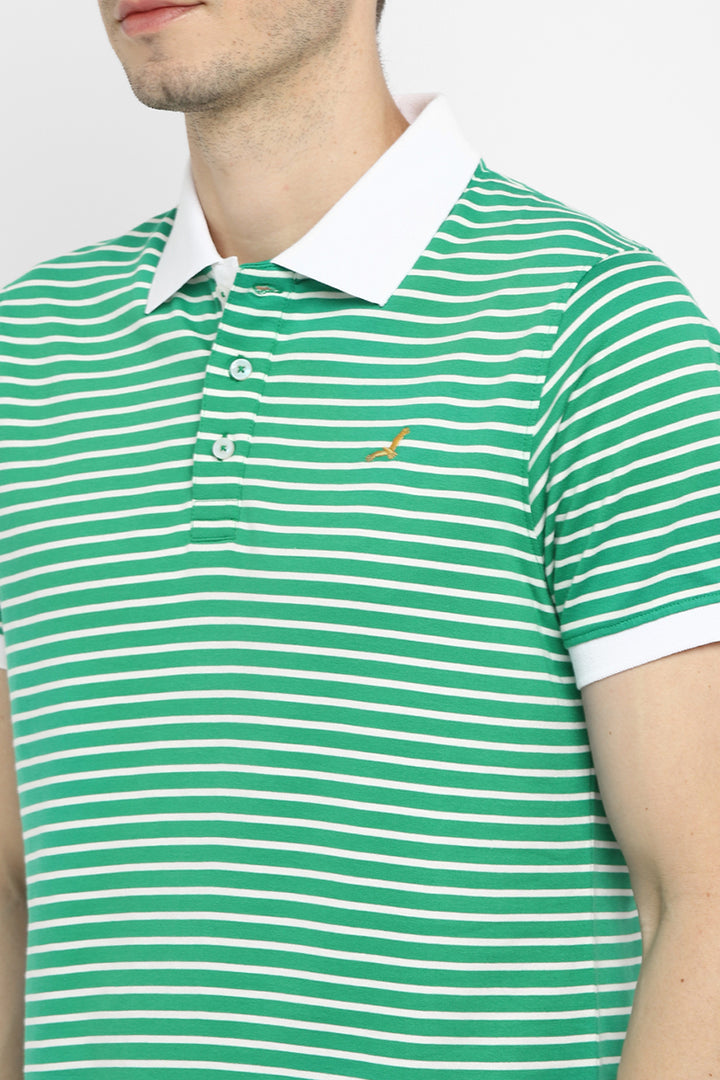 Polo Collar Half Sleeves Striped T-Shirt for Men - Green & White (Clearance - No Exchange No Return)