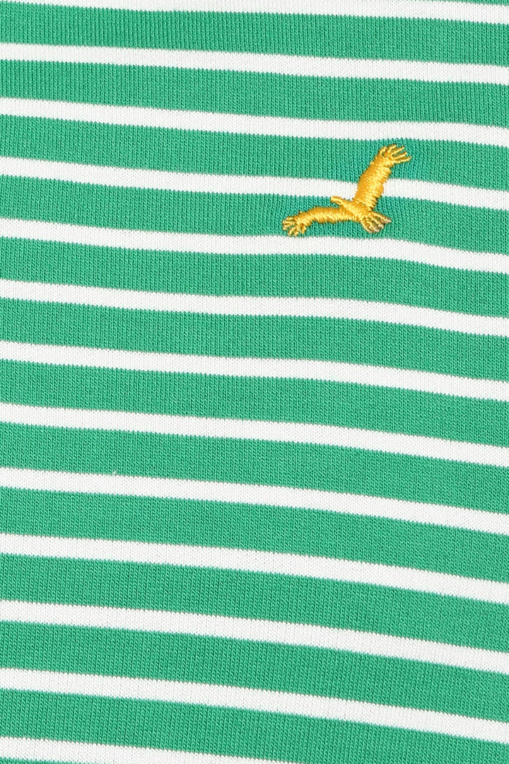 Polo Collar Half Sleeves Striped T-Shirt for Men - Green & White (Clearance - No Exchange No Return)